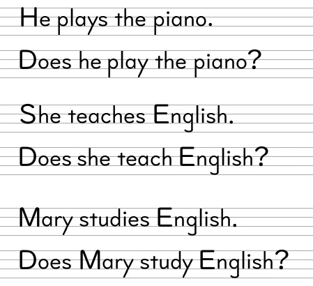 Does Mary study English?