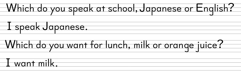 Which do you want for lunch, milk or orange juice?