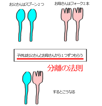 スプーンとフォーク